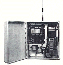 images/peeco16-2.gif (31536 bytes)